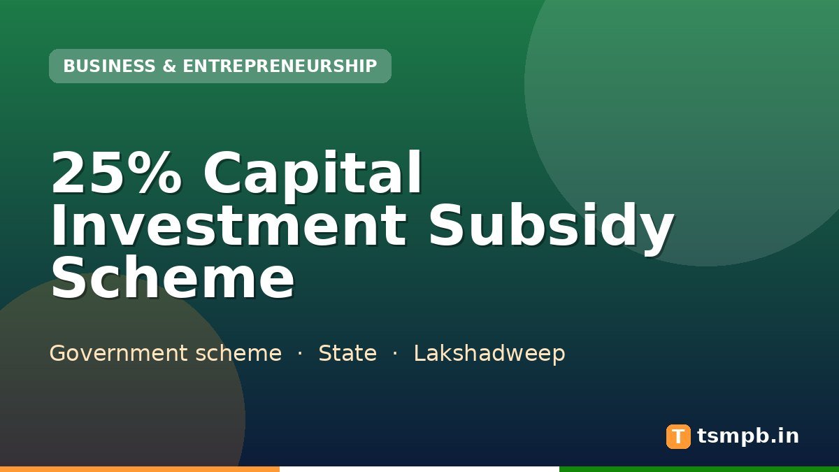 25% Capital Investment Subsidy Scheme
