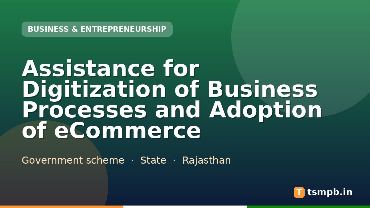 Assistance for Digitization of Business Processes and Adoption of eCommerce