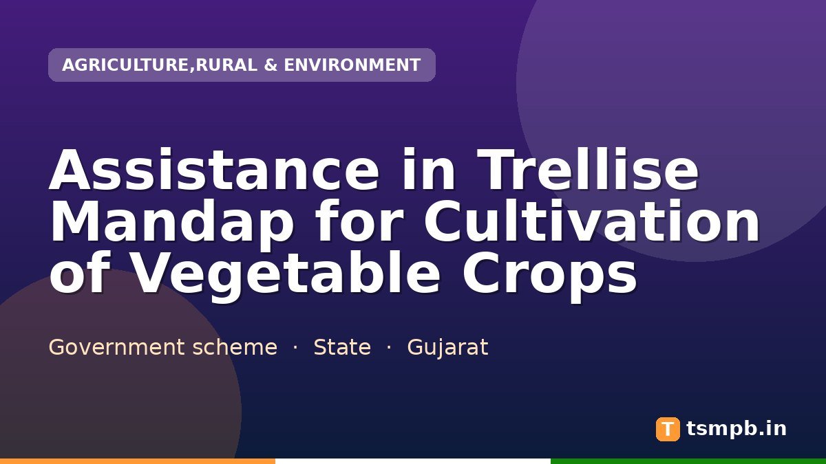 Assistance in Trellise Mandap for Cultivation of Vegetable Crops