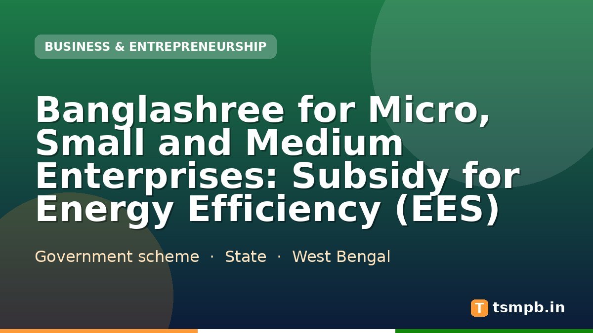 Banglashree for Micro, Small and Medium Enterprises: Subsidy for Energy Efficiency (EES)