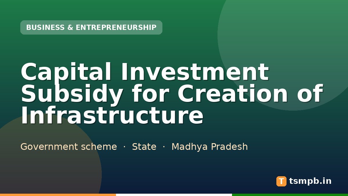 Capital Investment Subsidy for Creation of Infrastructure