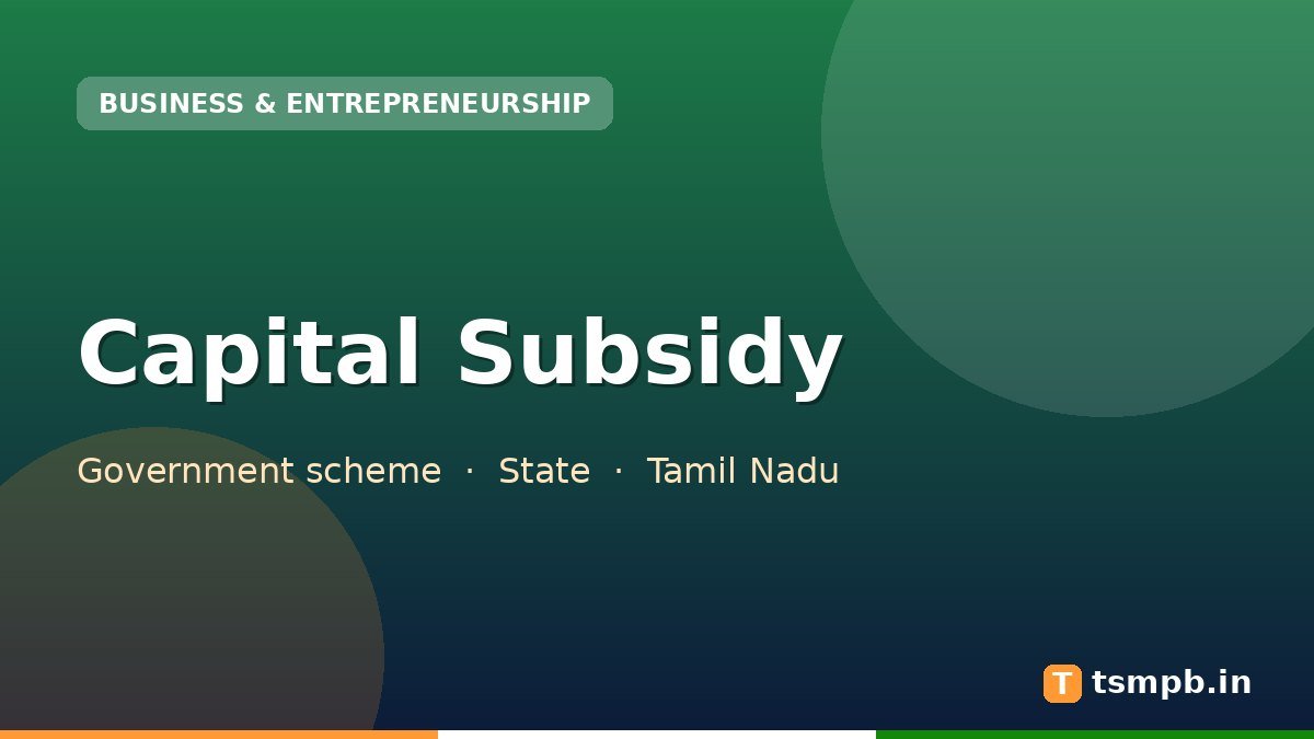 Capital Subsidy
