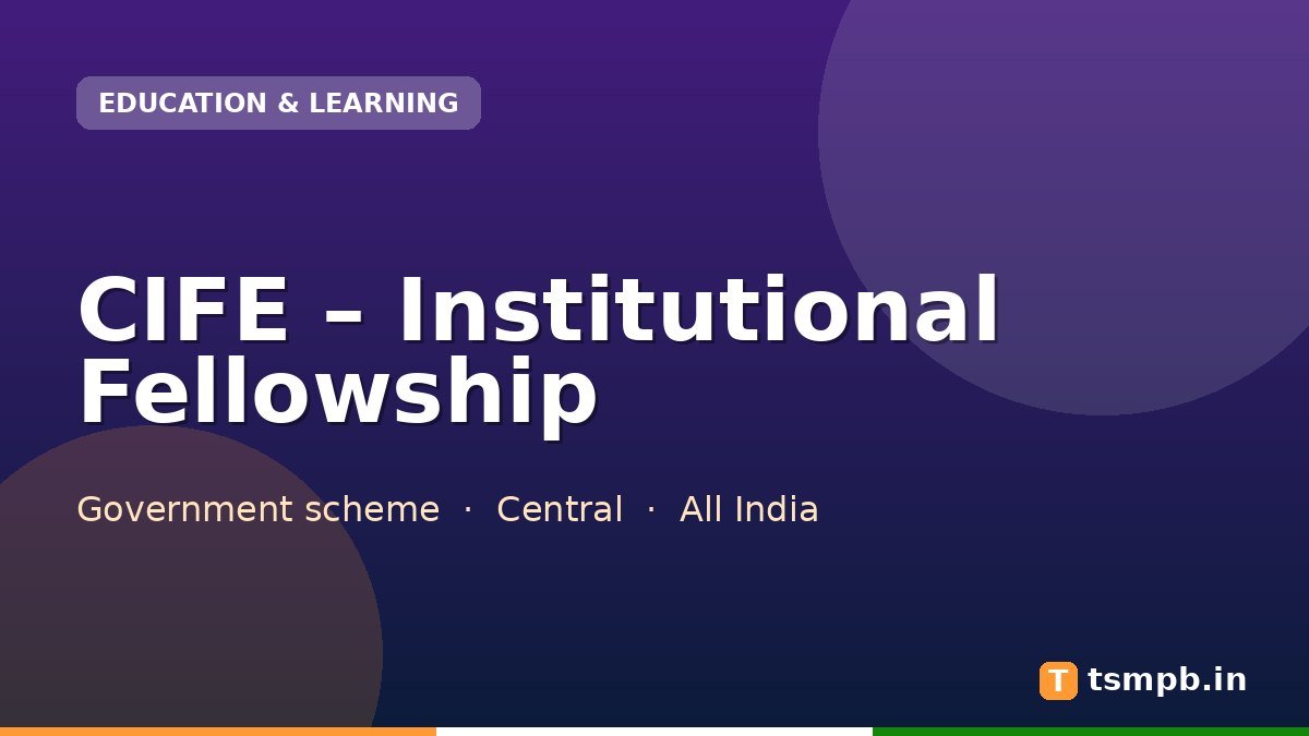 CIFE โ Institutional Fellowship