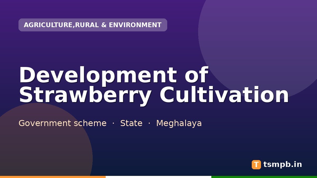 Development of Strawberry Cultivation