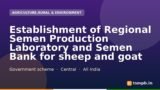 Establishment of Regional Semen Production Laboratory and Semen Bank for sheep and goat