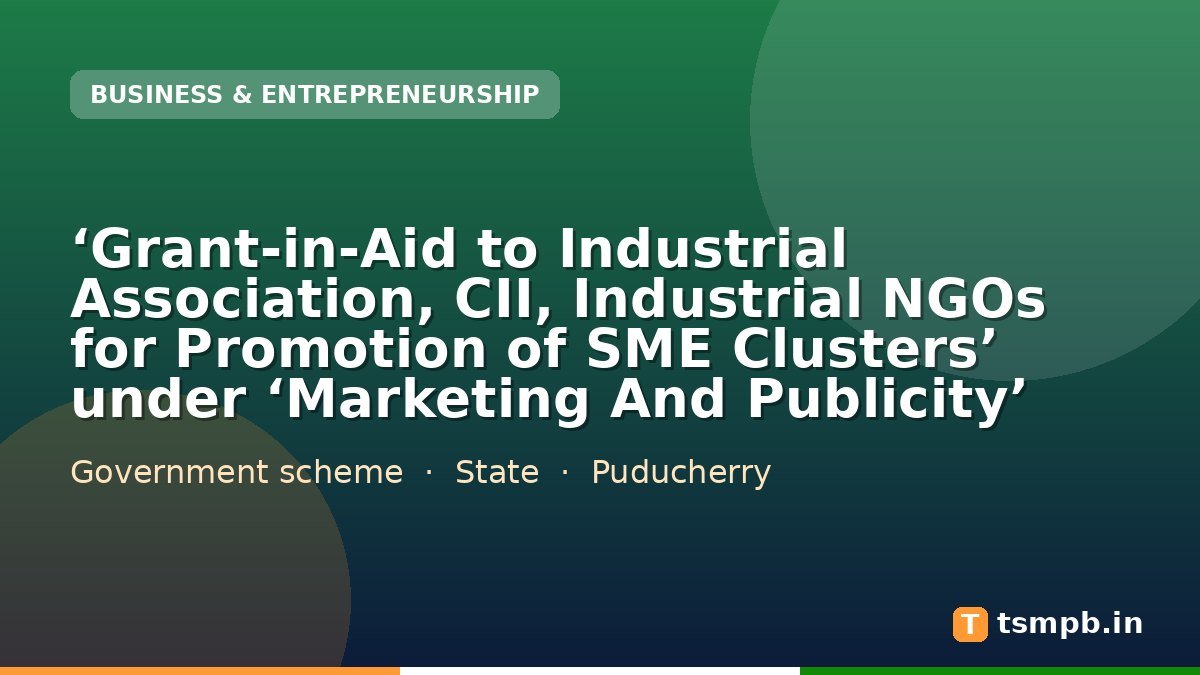 โGrant-in-Aid to Industrial Association, CII, Industrial NGOs for Promotion of SME Clustersโ under โMarketing And Publicityโ