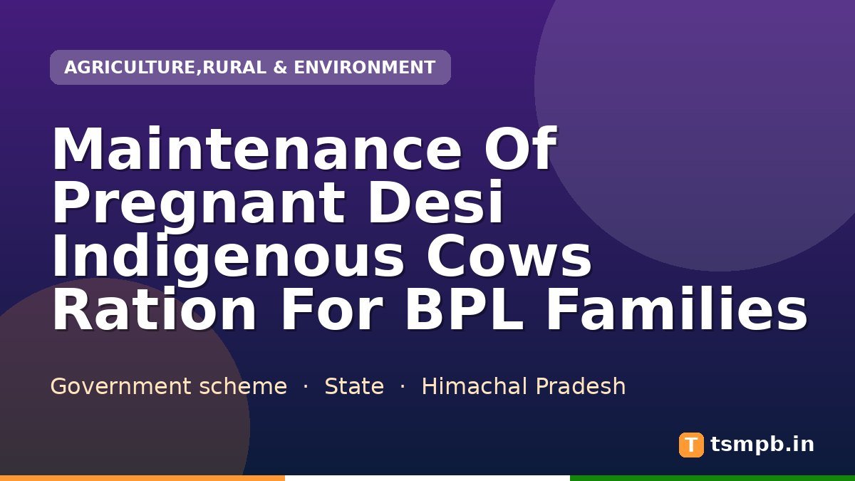 Maintenance Of Pregnant Desi Indigenous Cows Ration For BPL Families