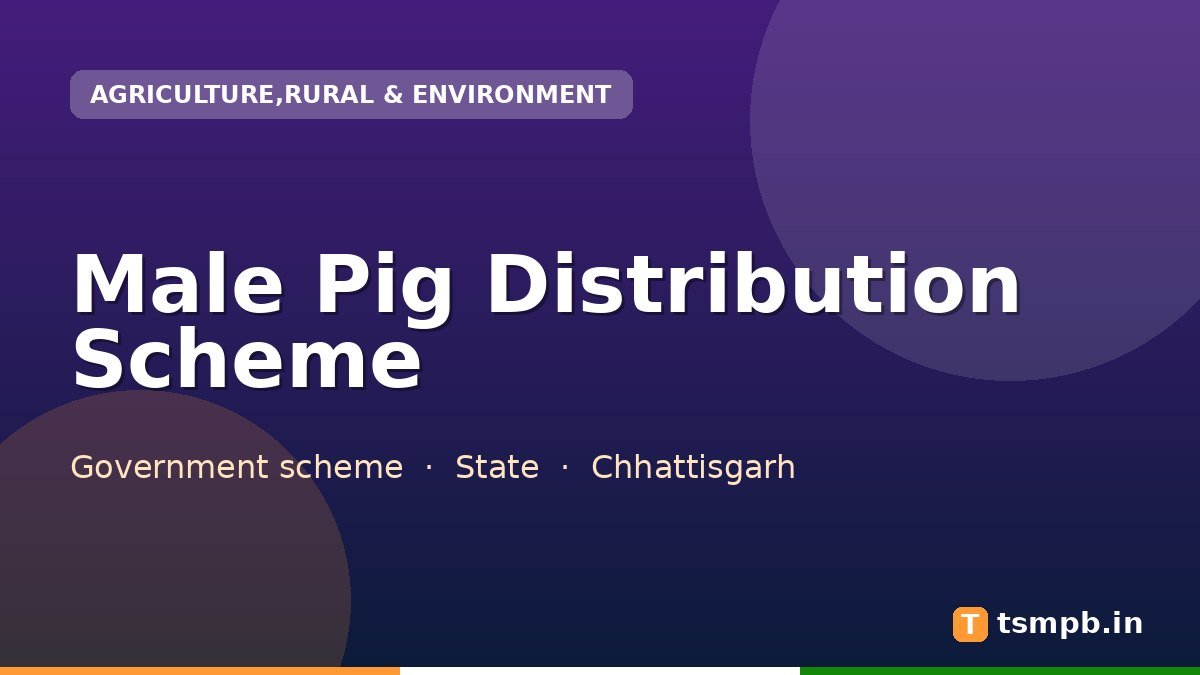 Male Pig Distribution Scheme
