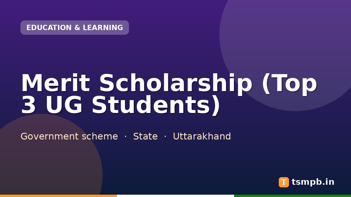 Merit Scholarship (Top 3 UG Students)