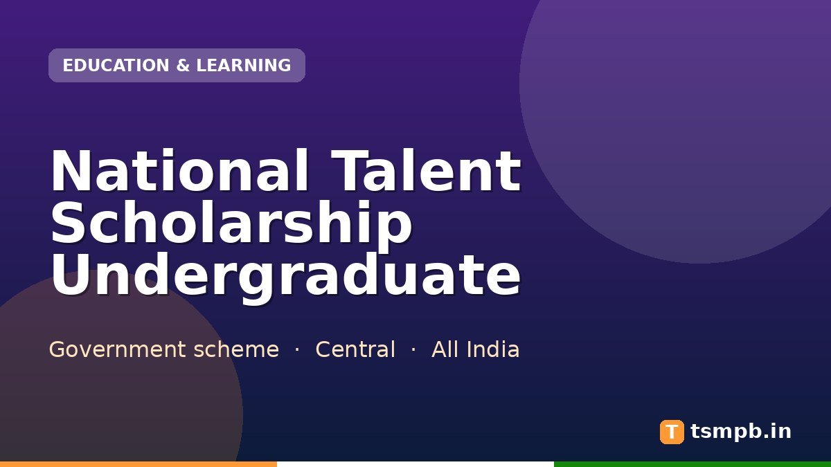 National Talent Scholarship Undergraduate
