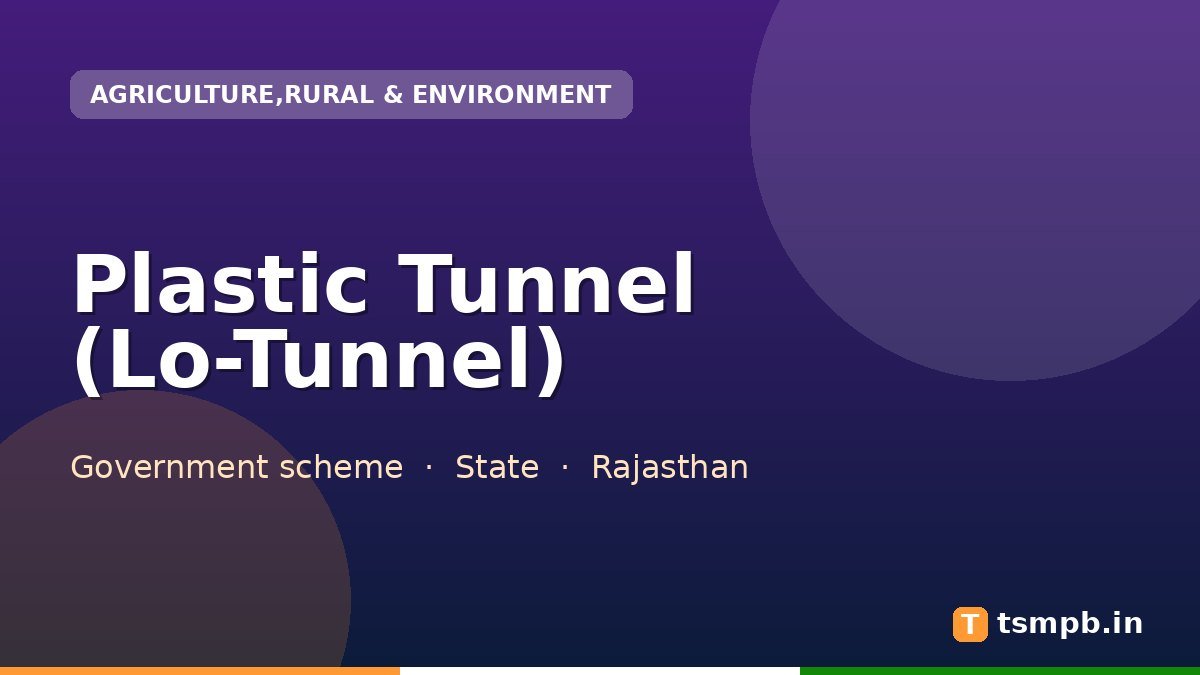Plastic Tunnel (Lo-Tunnel)