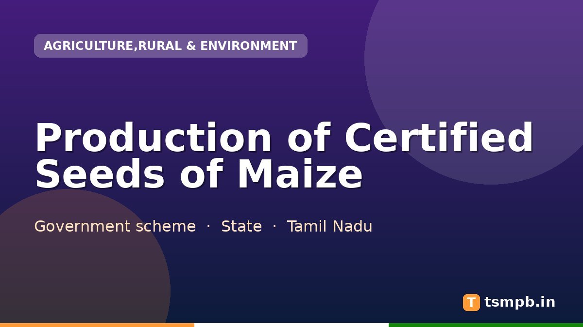 Production of Certified Seeds of Maize