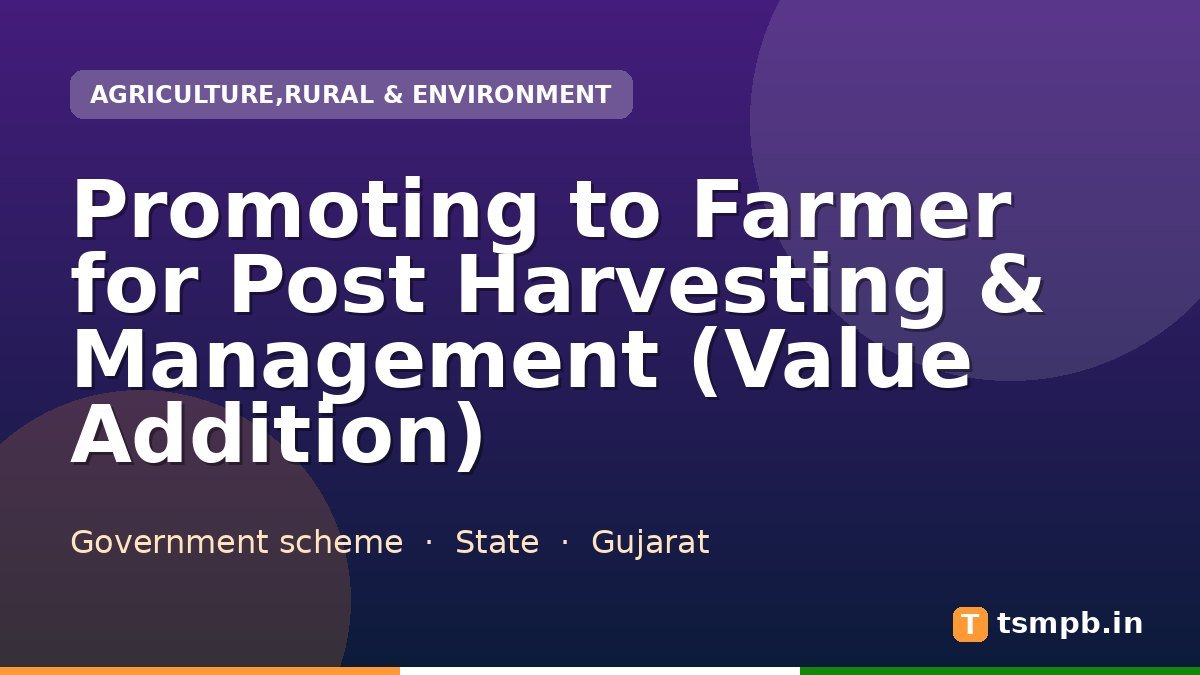 Promoting to Farmer for Post Harvesting & Management (Value Addition)