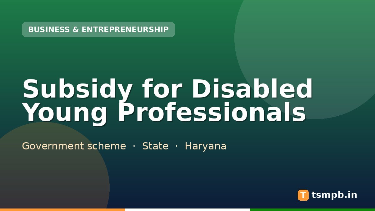 Subsidy for Disabled Young Professionals