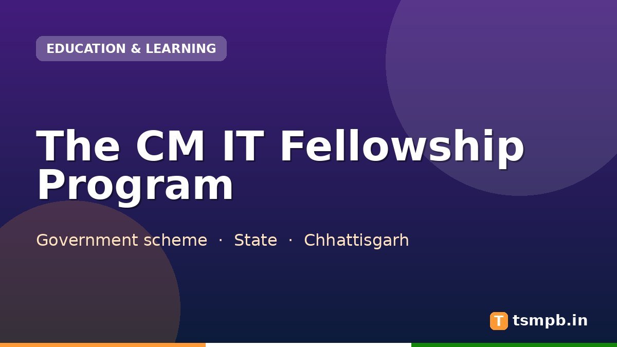 The CM IT Fellowship Program