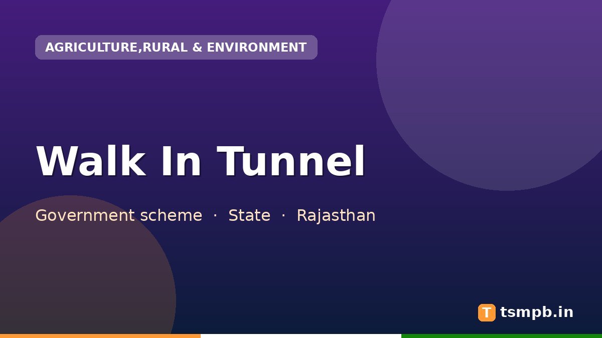 Walk In Tunnel
