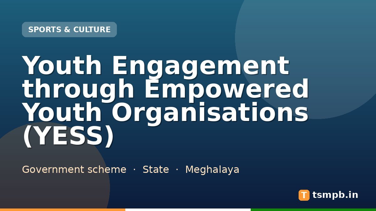 Youth Engagement through Empowered Youth Organisations (YESS)